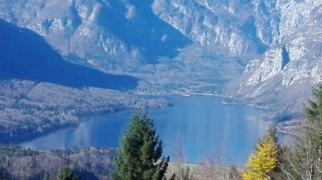 Ferienwohnung Apartmaji Korosec Na Koprivniku Koprivnik v Bohinju Exterior foto